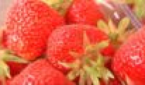 Cueillette des fraises